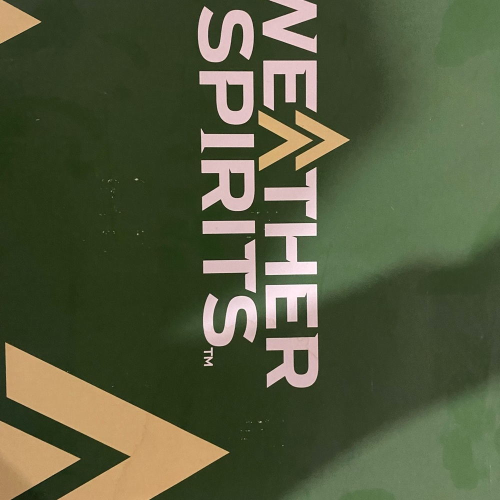 Weather Spirit brand winter boot.